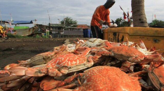 b366a95fc694e81ec05d54ee97b2caad